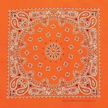 Carolina Creative Bandanna (Neon Orange) Paisley Print 22&quot; x 22&quot; Hav-A-Hank - $7.85