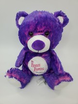 Fiesta Fannie Farkles Bear Purple Pink Plush Gatlinburg TN 12&quot;  Plush Toy B316 - £15.70 GBP