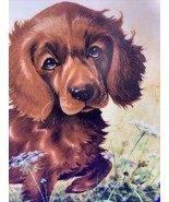 Missing The Point~The Irish Setter Collector Plate Lynn Kaatz 1989 - Kno... - £10.73 GBP