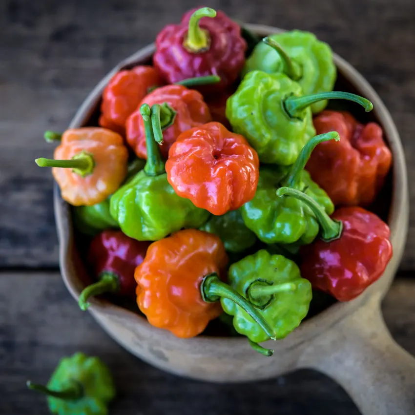 Hot Pepper Aji Chombo, 10 Seeds R - £11.47 GBP