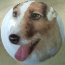 CABINET Knobs W/ Jack Russell Terrier Smooth Coat DOG - £4.08 GBP
