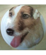 CABINET Knobs W/ Jack Russell Terrier Smooth Coat DOG - £4.08 GBP