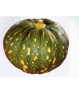 Pumpkin Seeds Fast Growing Vegetable Seeds - £3.91 GBP