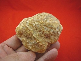 (k-2176) 115 g Rare Kauri tree Gum copal young Amber New Zealand Tane Ma... - $96.59