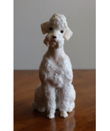 Vintage HR Hutschenreuther Germany White Porcelain Sitting Poodle Figuri... - $883.01 MXN