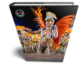 Brazilian Carnival Grooves - Large Authentic WAVE samples/loops studio Library - $14.99