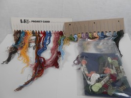 Lo Ran 2 cards with Embroidery Floss and lot of DMC Floss - $11.30