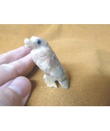 y-bir-ea-10) EAGLE baby tan soapstone Gemstone gem CARVING PERU CUTE lov... - $168.77 MXN