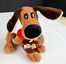 1998 The Barrys 5&quot; Family Dog Kiwi Puppy Dog Bean Plush ToyBox Creations - £11.96 GBP