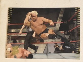 Ric Flair WWE Action Trading Card 2007 #24 - £1.54 GBP