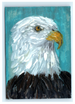 ACEO Original Art Acrylic Bald Eagle Painting - $5.00