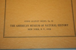 1934 AMERICAN MUSEUM OF NATURAL HISTORY Building The Museum Group Guide ... - £47.47 GBP