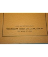 1934 AMERICAN MUSEUM OF NATURAL HISTORY Building The Museum Group Guide ... - £47.58 GBP