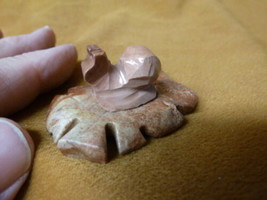 (Y-SNAI-1) Pink Snail leaf carving stone gemstone SOAPSTONE PERU little ... - $8.59
