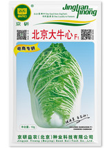 Peking Ox-heart Cabbage  Great Flower seeds For Garden decore - £11.24 GBP