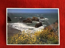 Oregon Postcard Wildflowers at Boardman State Park  NEW Unposted - $3.99