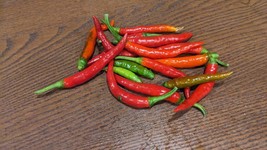 SEED- Thai Hot Pepper, Red Vesuvius- Compact Ornamental Shape Spicy Tasty Fruit - £0.98 GBP+