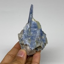 168.1g, 3.7&quot;x2&quot;x1.7&quot;, Rough Raw Blue Kyanite Chunk Mineral @Brazil, B32853 - £27.68 GBP