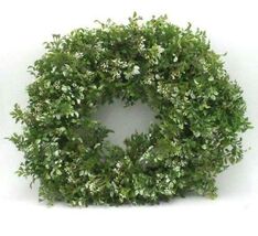 Garden Reflections 24&quot; Indoor Outdoor Wreath Hanging Christmas Decoratio... - $16.34 CAD