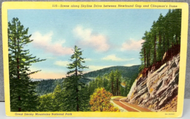 CURTEICH Colortone Linen Postcard North Carolina Newfound Gap and Clingm... - $8.24