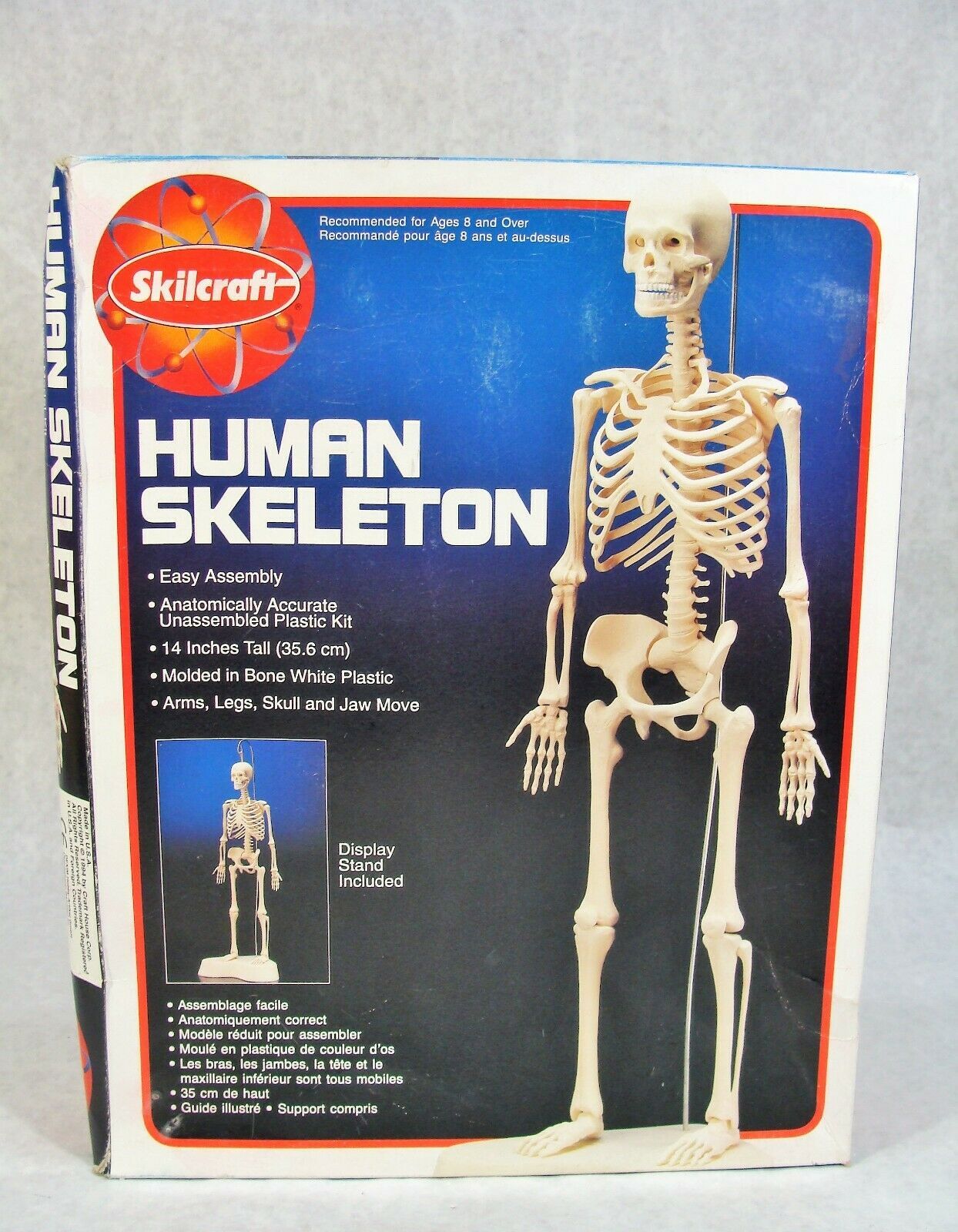 SCILCRAFT HUMAN LAB ANATOMICALLY ACCURATE PLASTIC MODEL KIT NEW! - $22.49