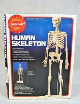 SCILCRAFT HUMAN LAB ANATOMICALLY ACCURATE PLASTIC MODEL KIT NEW! - £17.64 GBP