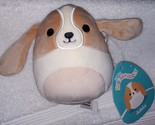 Squishmallows Adela the Beagle Dog 5&quot; NWT - £10.95 GBP