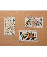 Guernsey Christmas Flowers 1978 Flora Plants Fruits (stamp) MNH Set of 4 - $4.18 CAD