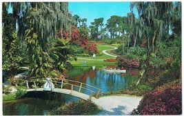St Petersburg Florida Postcard Cypress Gardens Palms Banana Azaleas - £2.35 GBP