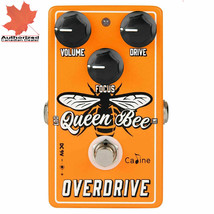 Caline CP-503 Queen Bee Overdrive Guitar Effect Pedal ✅New - £38.41 GBP