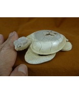 (TURT-SEA-W80) Sea Turtle turtles shed ANTLER figurine Bali detailed fig... - $237.48