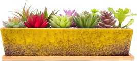Succulent Pots - 12 Inch Large Succulent Planter Pots With Drainage Bamboo Tray, - £27.96 GBP