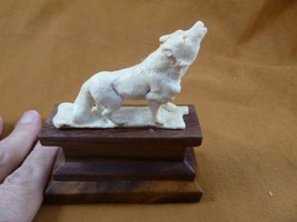 wolf-68) white Wolf standing wolves shed ANTLER figurine Bali detailed c... - £41.61 GBP
