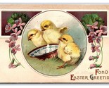 Fantasia Fond Pasqua Greetings Bambino Chicks Goffrato DB Cartolina H29 - £3.53 GBP
