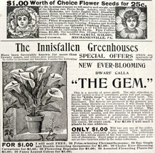 Multiple Flower And Seed Companies 1894 Advertisement Victorian Gardenin... - $12.50