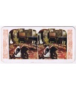 Stereo View Card Stereograph Playmates Girl &amp; Dog - £3.90 GBP