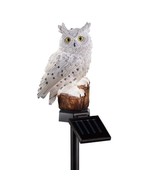 Trenton Gifts LED Solar Eule Licht, Garten Anteil - Weiss - £10.25 GBP