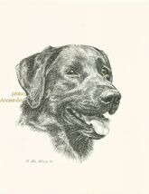 #55 BLACK LABRADOR RETRIEVER LAB dog art print Pen &amp; ink drawing by Jan ... - $12.38