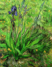 Giclee Irises by Vincent van Gogh painting art printed on canvas - £6.76 GBP+