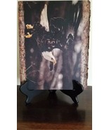 Eagle Photo ~ Mounted On a Block of Wood ~ 2016 ~ &quot;Going In For The Kill&quot; - £23.71 GBP