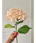Blush Pink Giant Hydrangea - 83cm - $43.97 CAD