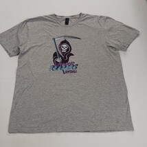 Gildan Softstyle Diamond Reapers Softball Men's Gray Graphic T-Shirt Size Large  image 11