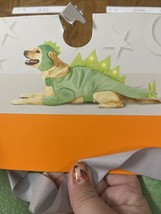 Dog Halloween Dinosaur Costume Size M - $18.69