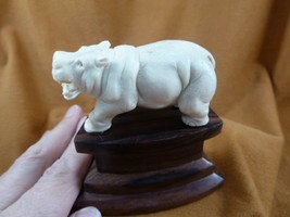 hippo-12) little Hippo of shed ANTLER figurine Bali detailed carving lov... - $70.82