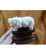 hippo-12) little Hippo of shed ANTLER figurine Bali detailed carving lov... - $70.82