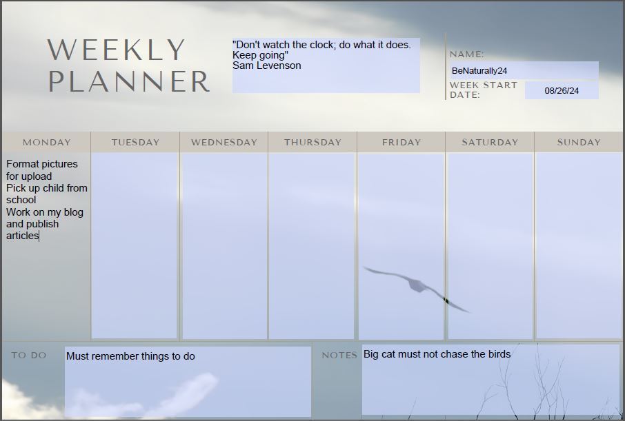 Weekly planner electronically fillable and space for own motivational. - $2.85