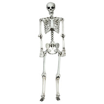 5.4 Feet Halloween Skeleton Life Size Realistic Full Body Hanging - Color: White - $2,552.39 MXN