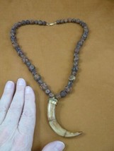 v640-4) Tibetan Water Buffalo aceh bone claw pendant on 23&quot; Agate bead Necklace - £63.51 GBP