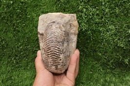 Item image 15