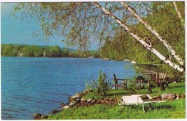 Ontario Postcard Birch Trees By Lake Chairs Wheelbarrow - £2.31 GBP